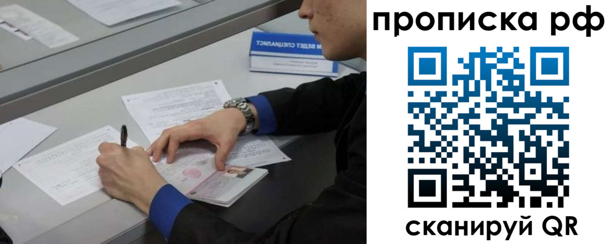прописка гарантия в Нелидово