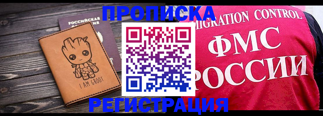 прописка 2025 в Нелидово